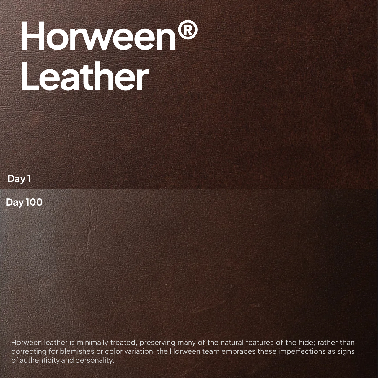 Case for iPhone 17 Pro Max Nomad Traditional Leather Horween Case Magsafe - Gambar 3